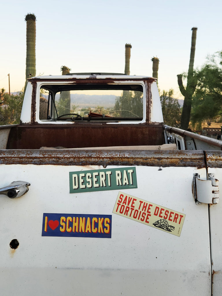 Bumper Magnet - Save the Desert Tortoise